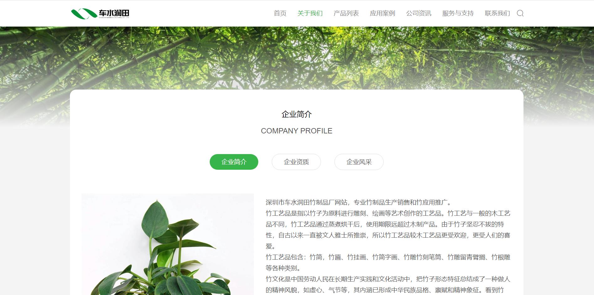 雨旗优站通用企业网站案例